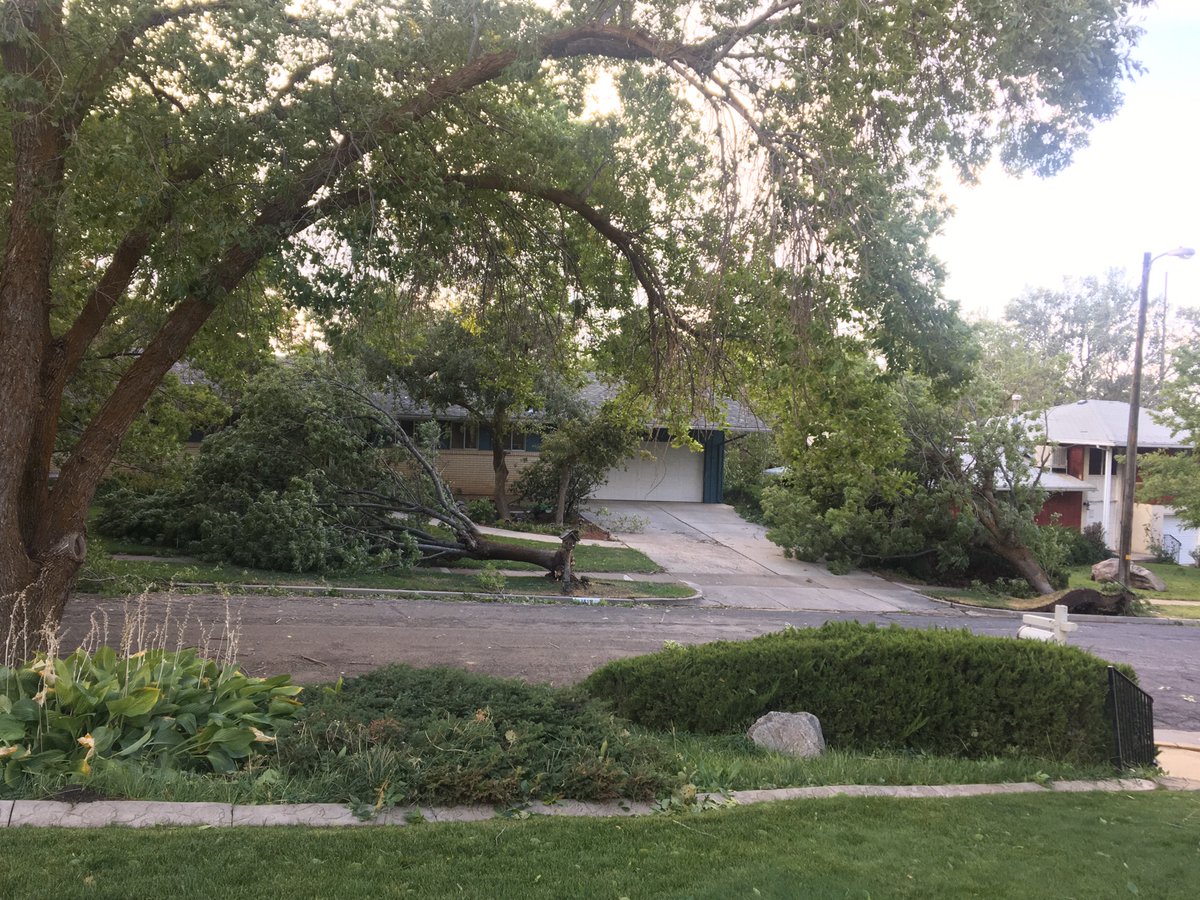 Mrscoxen21's tweet photo. Trees down all over the Ogden East Bench #utahwind https://t.co/AcmL7gSbKC