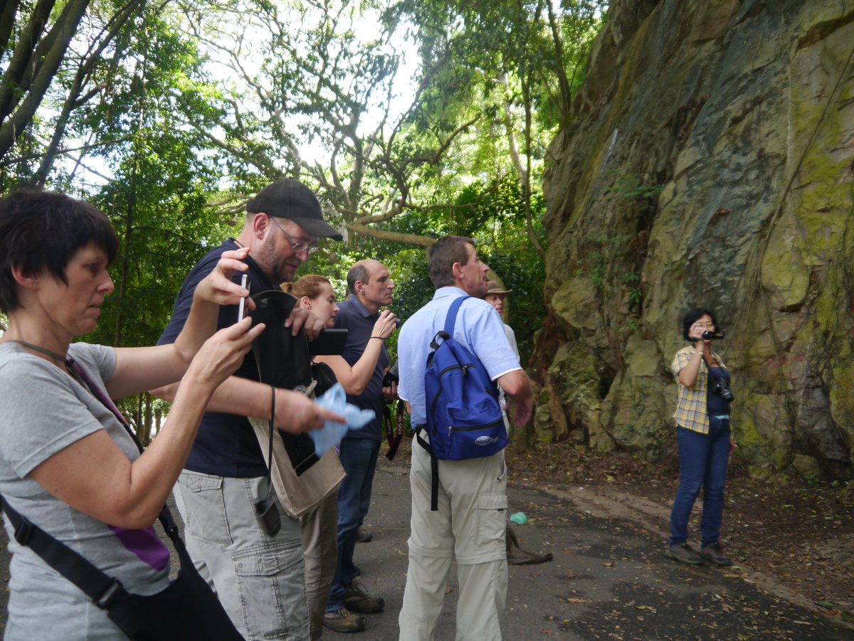 To find fossil isn't easy.  Moreover, dinos. First, we must look for certain types of rocks : sedimentary rocks. Batu pasir, batu kapur, batu lumpur ataupun rijang, batu kaya silika. Fosil dlm batu2 ini juga berbeza krn berbeza sekitaran pengendapan dan usia.