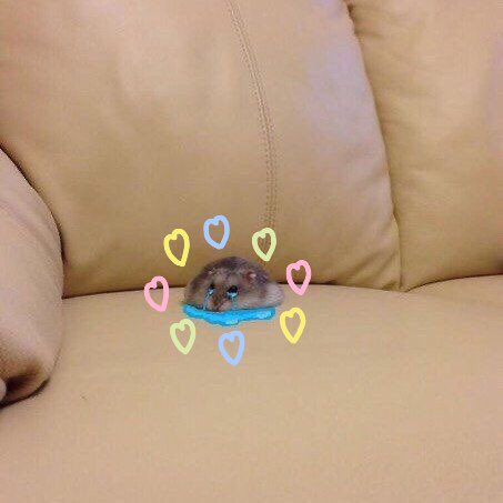 หัวใจแตกเพล้ง เท่มากเท่ที่สุดT - T