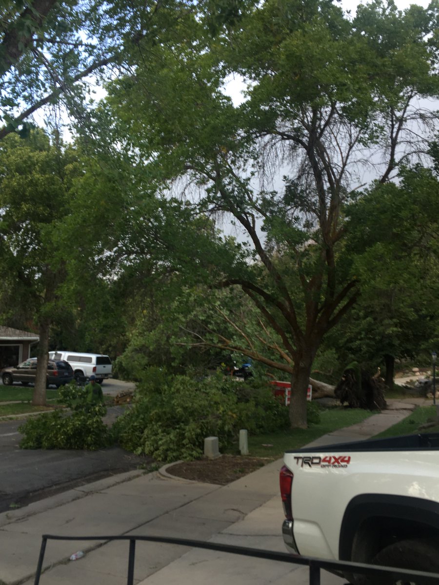 Mrscoxen21's tweet photo. Trees down all over the Ogden East Bench #utahwind https://t.co/AcmL7gSbKC