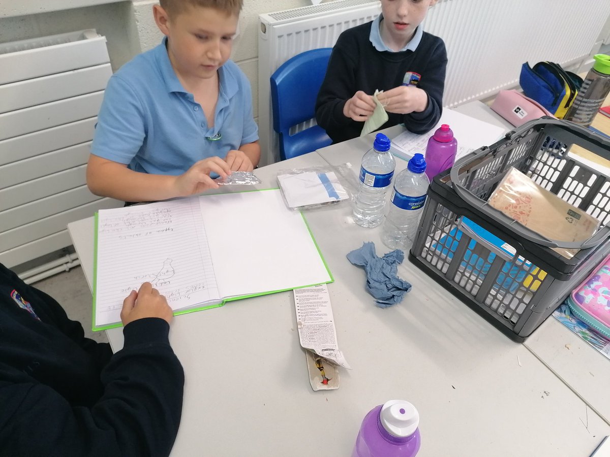 BrigidNs's tweet photo. S. T. E. M. In action i rang a 4.#exploringlight #shadows #classifying @PDSTPrimarySTEM https://t.co/P5KtPyaF1J