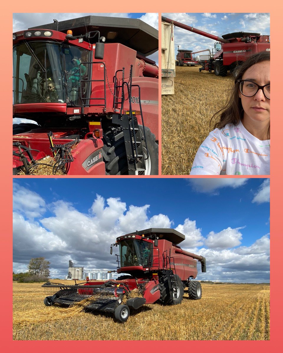 CDPatterson3's tweet photo. Happy Harvest! Hope everyone is enjoying this time of year- may the combines run smooth and the yields be high! What makes you Sask Proud? #harvest2020 @RBC #SaskProud #whosinthebuddyseat https://t.co/nzN1Rim6gF
