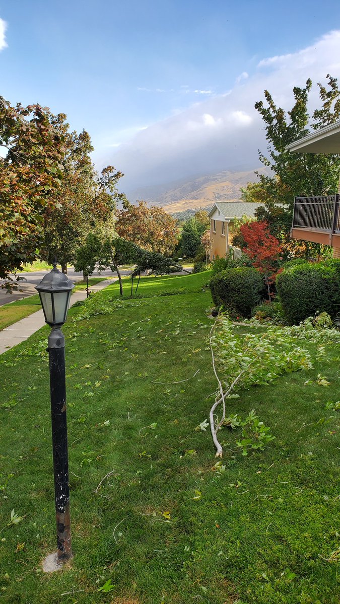 laurencelkins's tweet image. Well, the smokey air is blowing out...
#utwx #utwind (neighbors tree down but it's a little guy)