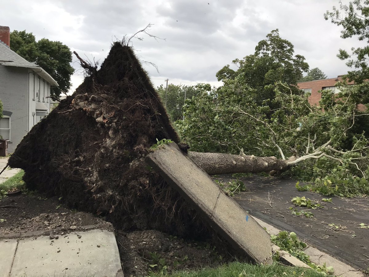 This is in front of Chris Peterson’s house. He’s running for governor ( @PetersonUtah). “We heard a loud boom last night,” said wife Tera Peterson. Their power has been out for an hour this morning. “I’m nervous, she added. “This could go all day.”