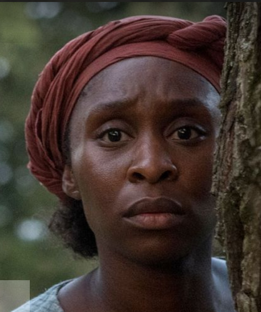 higginslabor's tweet photo. The Higgins Labor Film Club
Our first feature:
Harriet (2019, starring Cynthia Erivo)
Discussion featuring Mark A. Sanders, Professor of English and Africana Studies (watch the film on your own prior)
Sun., Sep. 13, 4 pm.
Email jbenchaa@nd.edu for RSVP link. https://t.co/BcNC922mXp