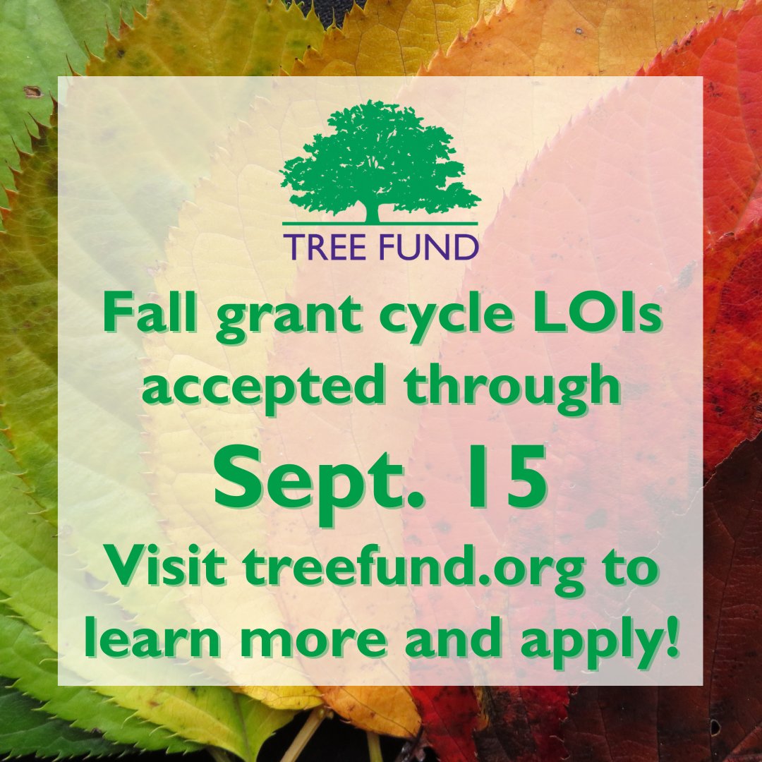 TREE_Fund's tweet photo. The deadline to submit an LOI for the fall grant cycling is approaching! Please visit https://t.co/kxU57GBapr to learn more and submit an LOI by Sept. 15.
#treefund #research #education #grants https://t.co/6KaE1CRdZe