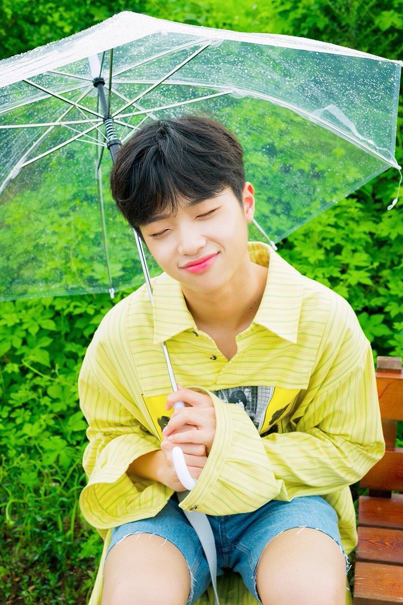 luisaaang's tweet photo. Happiest Birthday to our sunshine 💛 thank you for always comforting us Dongpyo. We'll always support you. I love you baby 💛 

#HappyDongpyoDay
#동표야_너의_모든_날을_사랑해
@x1official101 https://t.co/7vvUOErWoH