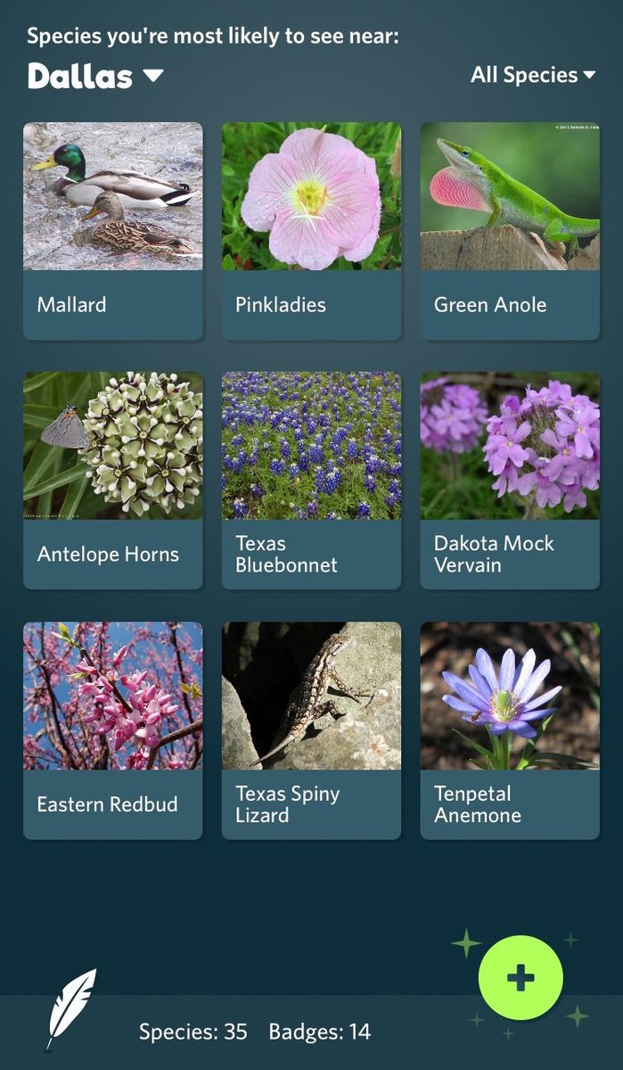 If you've been spending more time savoring the remarkable treasures that you see during outdoor walks and hikes, this plant/animal identification site might be your new best friend inaturalist.org