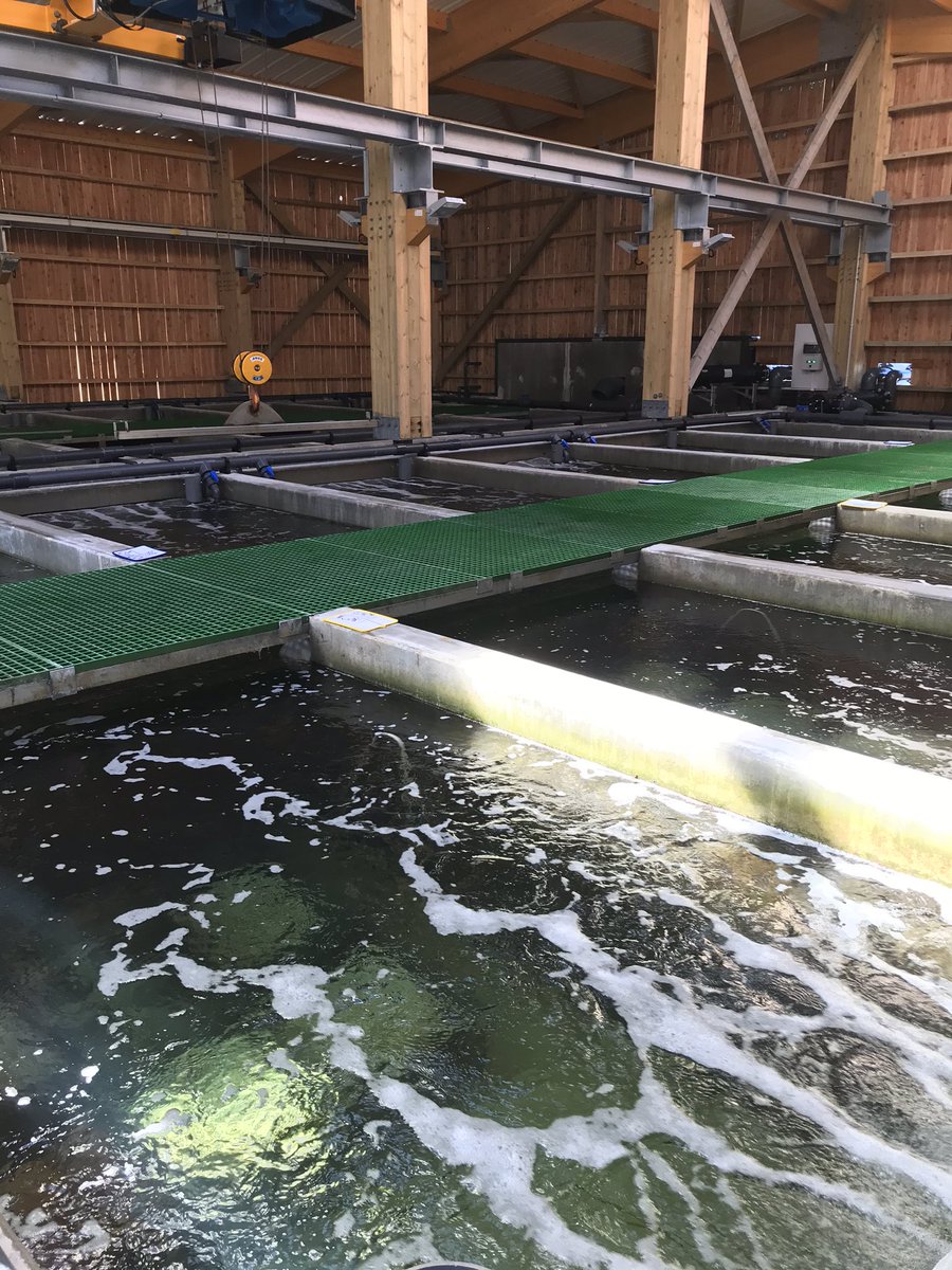 VKerguillec's tweet photo. Pluralité des points de vue pour un objectif partagé : la qualité des eaux et écosystèmes de la rade de #Brest. Avec @PERONLaurent @ThierryBurlot #Epaga #Elorn @Ifremer_fr #SyndicatBassinElorn #ViviersDeKeralliou... https://t.co/nQ274K8YuW