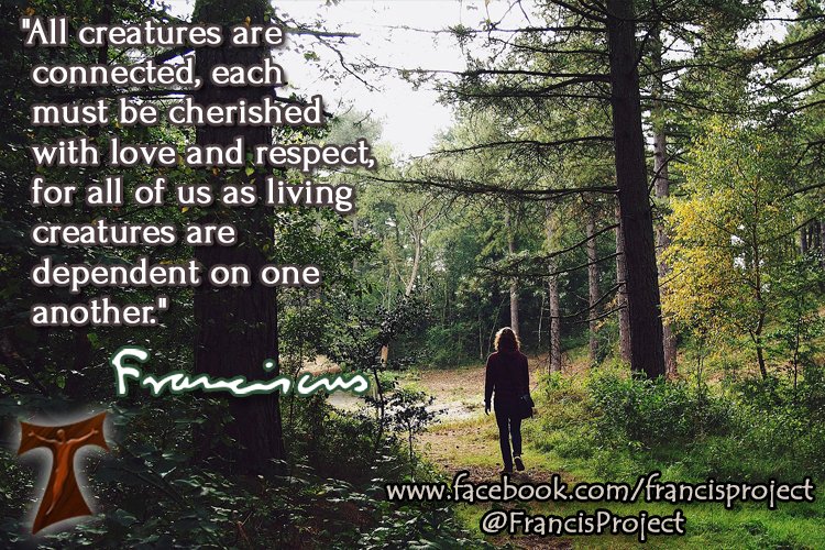 FrancisProject's tweet photo. "All creatures are connected, each must be cherished with love and respect, for all of us as living creatures are dependent on one another." ~ Pope Francis #LaudatoSi #PopeFrancis https://t.co/ymxCUO4LOt