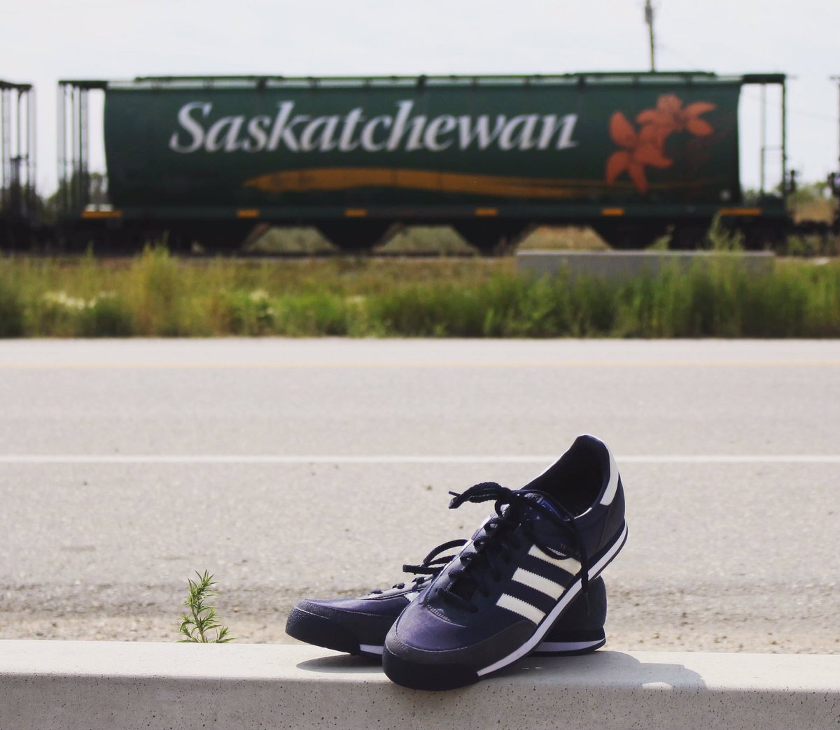 #Saskatchewan let’s make some noise this weekend in honor of the #40thanniversary if the Marathon of Hope. Register and show your support today. terryfox.ca 

#foxfootsteps #TerryFoxRun #tryliketerry