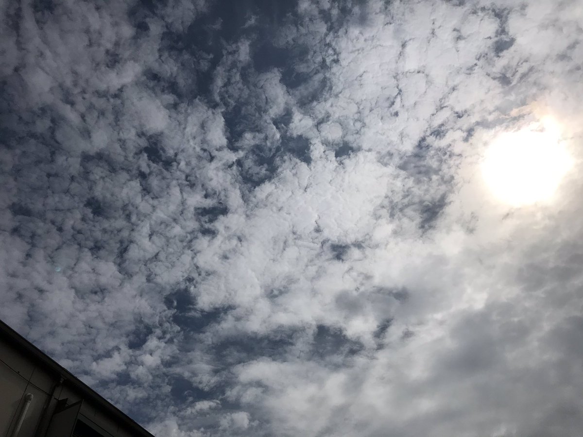 空が高い
今日は蒸し暑いですが
空は秋へと向かっています。

おはようございます。
今日も穏やかな1日でありますように＊.°