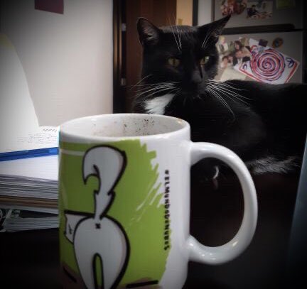 elmundodenubes's tweet photo. Nuestra taza “Talk to the... ” También conocida como “Habla con mi cola” 😹 Apta para todas las ocasiones. 😸👌 Es parte de nuestra colección  #Cattitude ☕️ Los modelos en las fotos: #GatitaNubes y #Chuva #ElMundodeNUBES #TalkToThe #TienditaGatuna #catlovers #GatosdeGuatemala https://t.co/r85FGUl94d