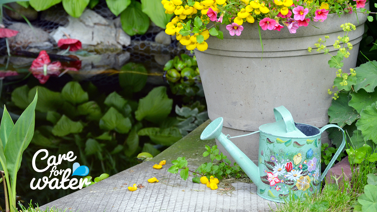 iconwater's tweet photo. Top up ponds wisely with a bucket, watering can or hose fitted with a trigger nozzle. This is one of Canberra's easy to follow Permanent Water Conservation Measures, rules that help us all care for water. Read all the measures at https://t.co/fq9UmCjhvw #careforwater https://t.co/6jsysUdzuk