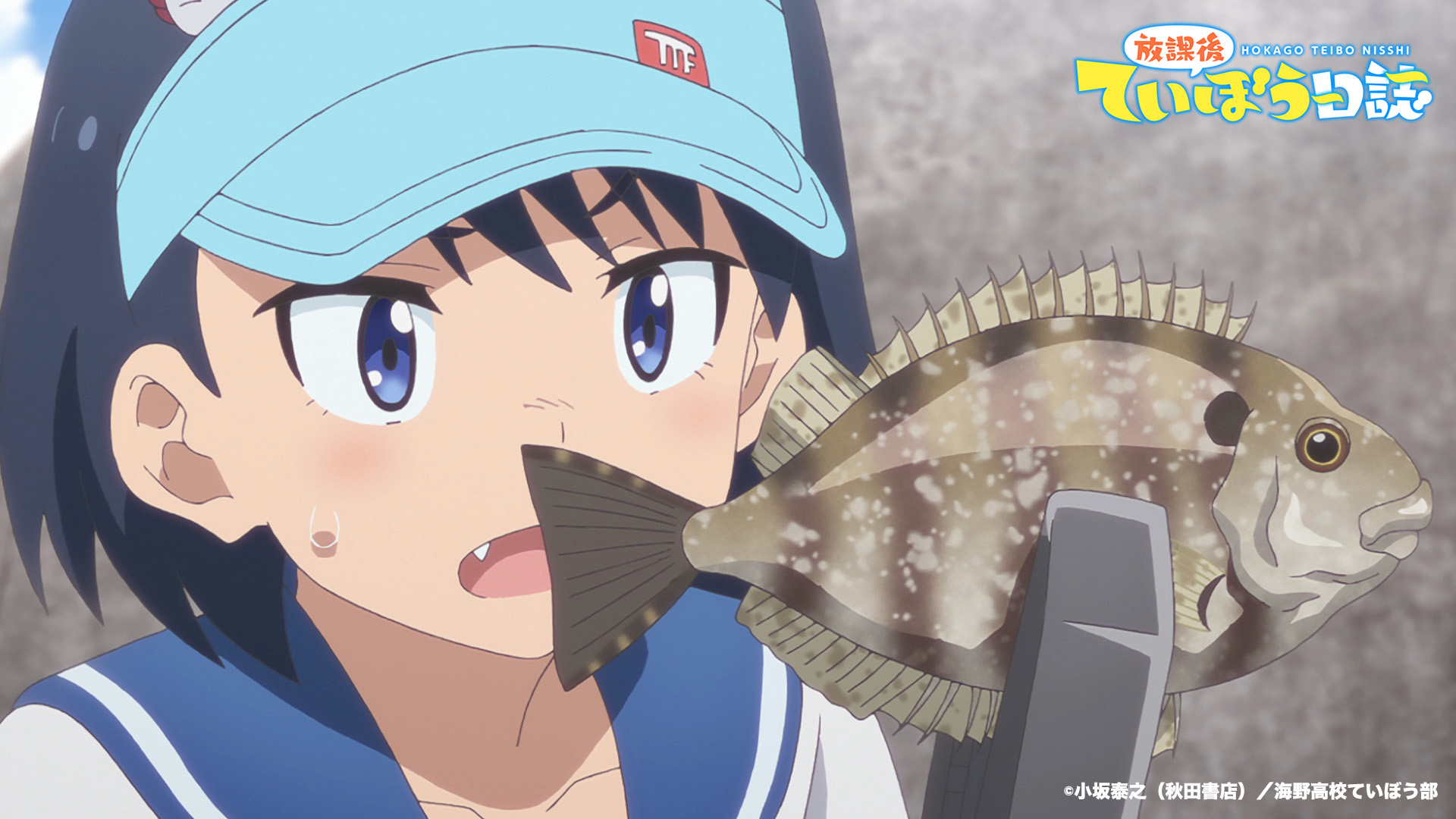 農林水産省 劇中ではバリ アイゴ も釣っていましたが 魚の中にはトゲがあるもの 毒を保有するものなどもいますので注意してください また 目当て以外の魚が釣れた場合でも 陸に放置せず水に戻してくださいね 農林水産省 水産庁 Teibo T 農林水産省 劇中ではバリ アイゴ も釣っていましたが 魚の中にはトゲがあるもの 毒を保有するものなどもいますので注意してください また 目当て以外の魚が釣れた場合でも 陸に放置せず水に戻してくださいね 農林水産省 水産庁 Teibo T