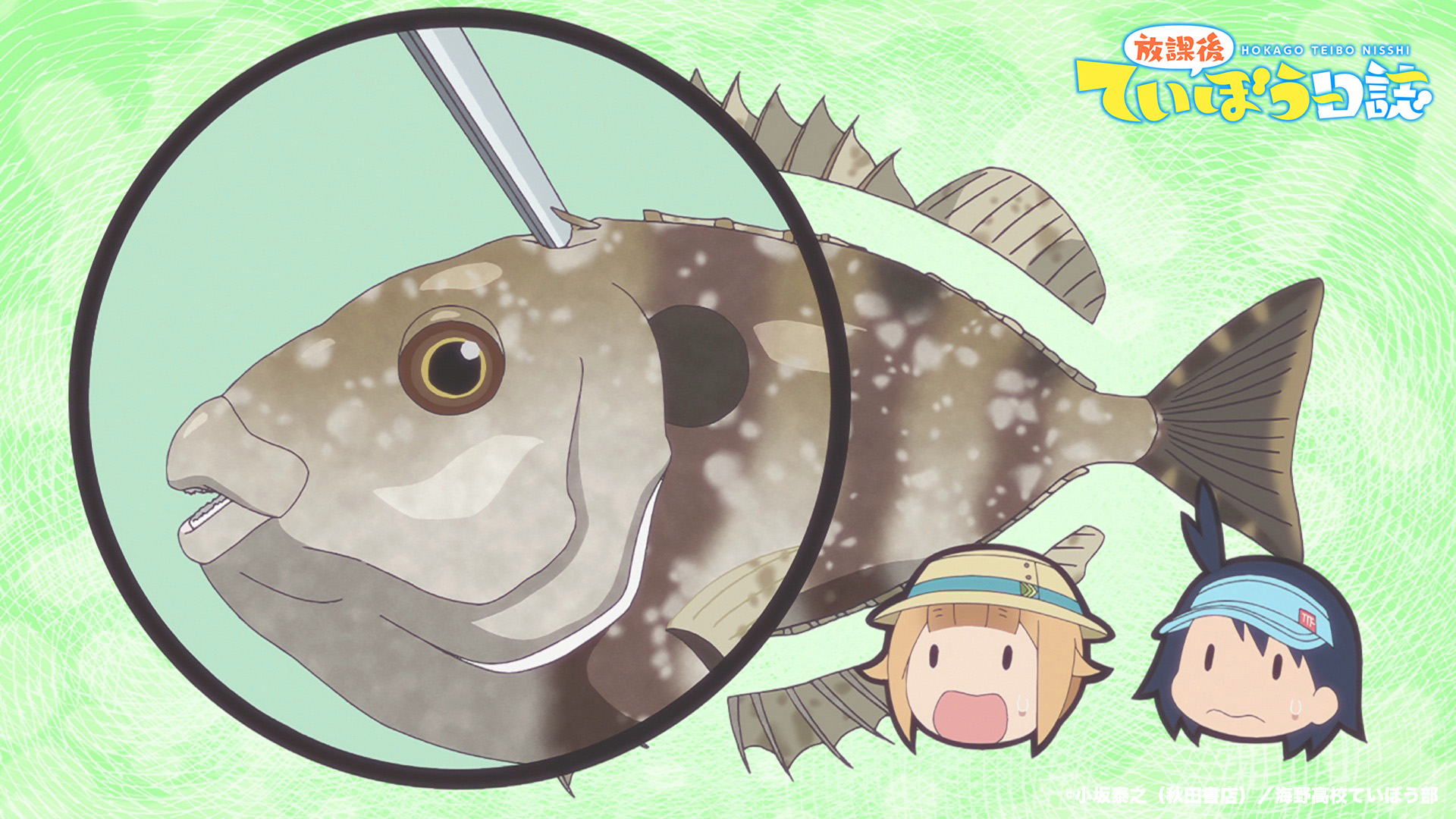 農林水産省 劇中ではバリ アイゴ も釣っていましたが 魚の中にはトゲがあるもの 毒を保有するものなどもいますので注意してください また 目当て以外の魚が釣れた場合でも 陸に放置せず水に戻してくださいね 農林水産省 水産庁 Teibo T 農林水産省 劇中ではバリ アイゴ も釣っていましたが 魚の中にはトゲがあるもの 毒を保有するものなどもいますので注意してください また 目当て以外の魚が釣れた場合でも 陸に放置せず水に戻してくださいね 農林水産省 水産庁 Teibo T
