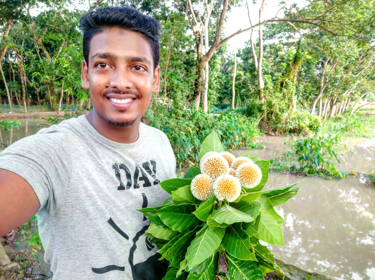 RobinHD18's tweet photo. তোমায় এনে ��িবো বলে কুঁড়িয়েছিলাম কদম,
তোমার খোঁপার ভাঁজে অামার একটুখানি দম।
যত্ন করে রেখো খোঁপা, কদমফুলের সাজে,
তোমায় শুধু দেখবো বলে  মন নেই যে কাজে। https://t.co/fogV16vJWD