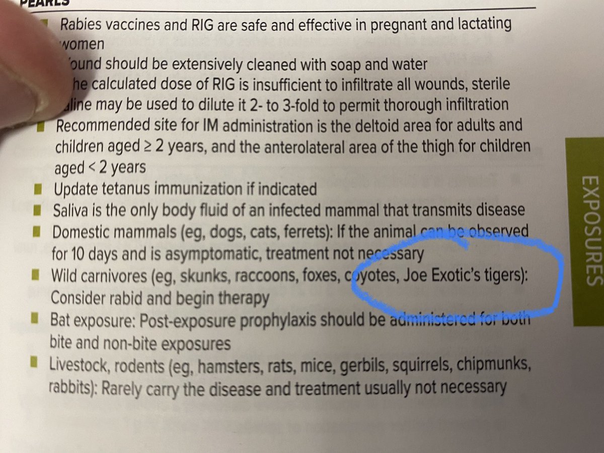 Steve Carroll DO MEd tweet media