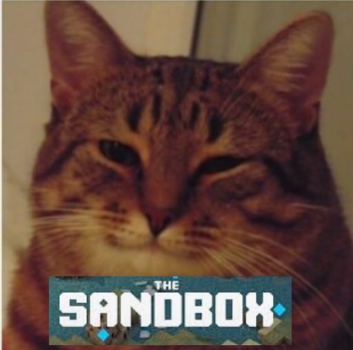 Lenusik3030's tweet photo. #Atari #AtariCompetition #TheSandbox #meme https://t.co/GGRYI9D2uh