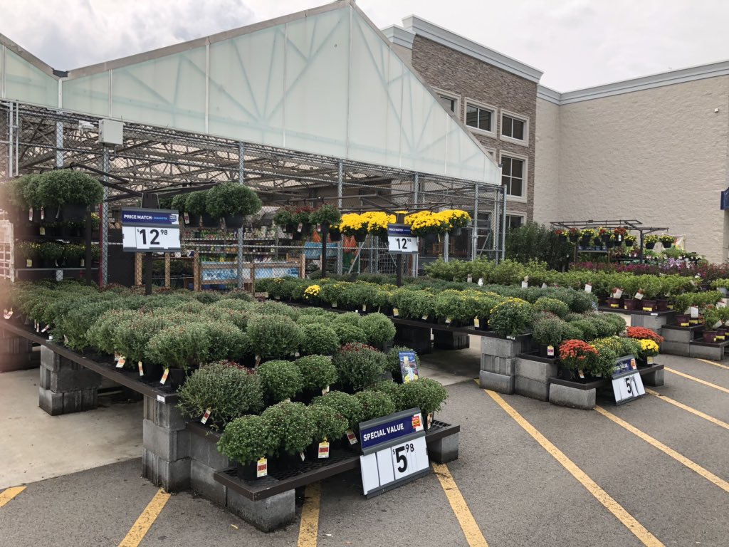 It’s Bristol, Baby!!!  Lowe’s of Bristol TN and Bristol VA are ready for racing and ready for fall!!  Come see us! @PlantPartners @SRatarsky #falldecorating