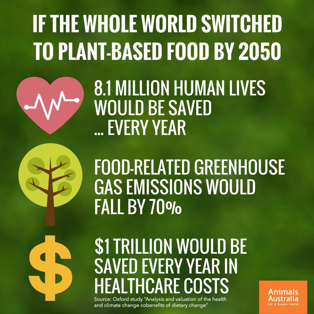 green_menu's tweet photo. https://t.co/lKysg8puJo