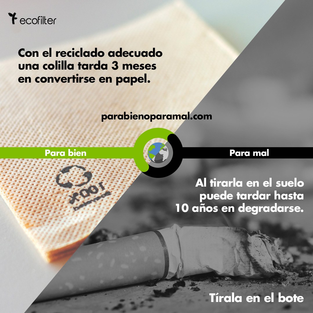 Ecofilter México tweet media