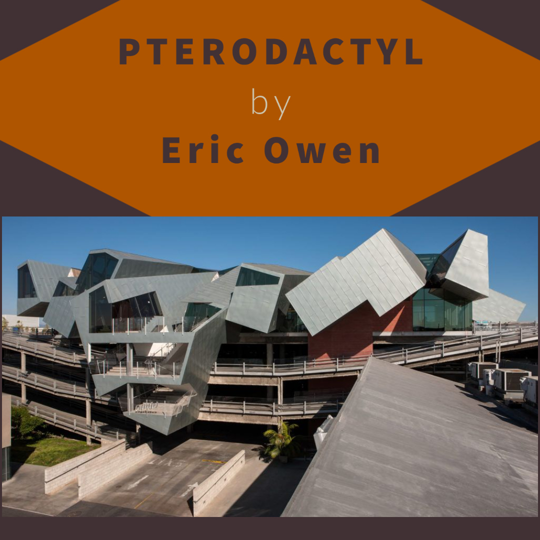 SkyfordL's tweet image. Parking is a big problem in LA and Pterodactyl manages to hide four stories of it beautifully! Designed by Eric Owen. Our MC, Derek would love form intersecting w. functionality &amp;amp; modernity turned on it&apos;s ear. #architecturetuesday #architecture #architect #character #MCresearch