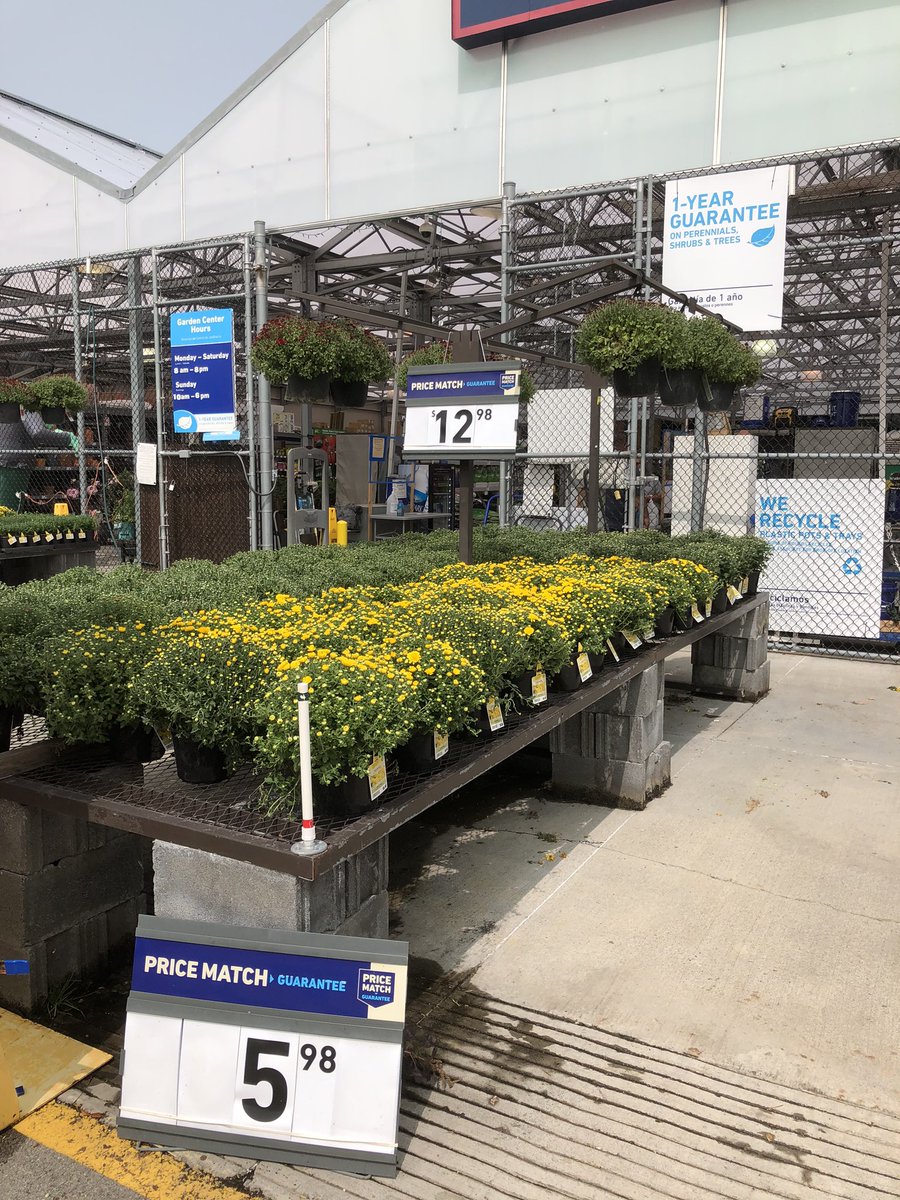 If you are in the market for fresh fall product, Lowe’s in Kingsport TN , stores 2773 and 718 just received a new shipment of mums, pansies and ornamental kale.  Stop by! @PlantPartners , #mums, #falldecorations