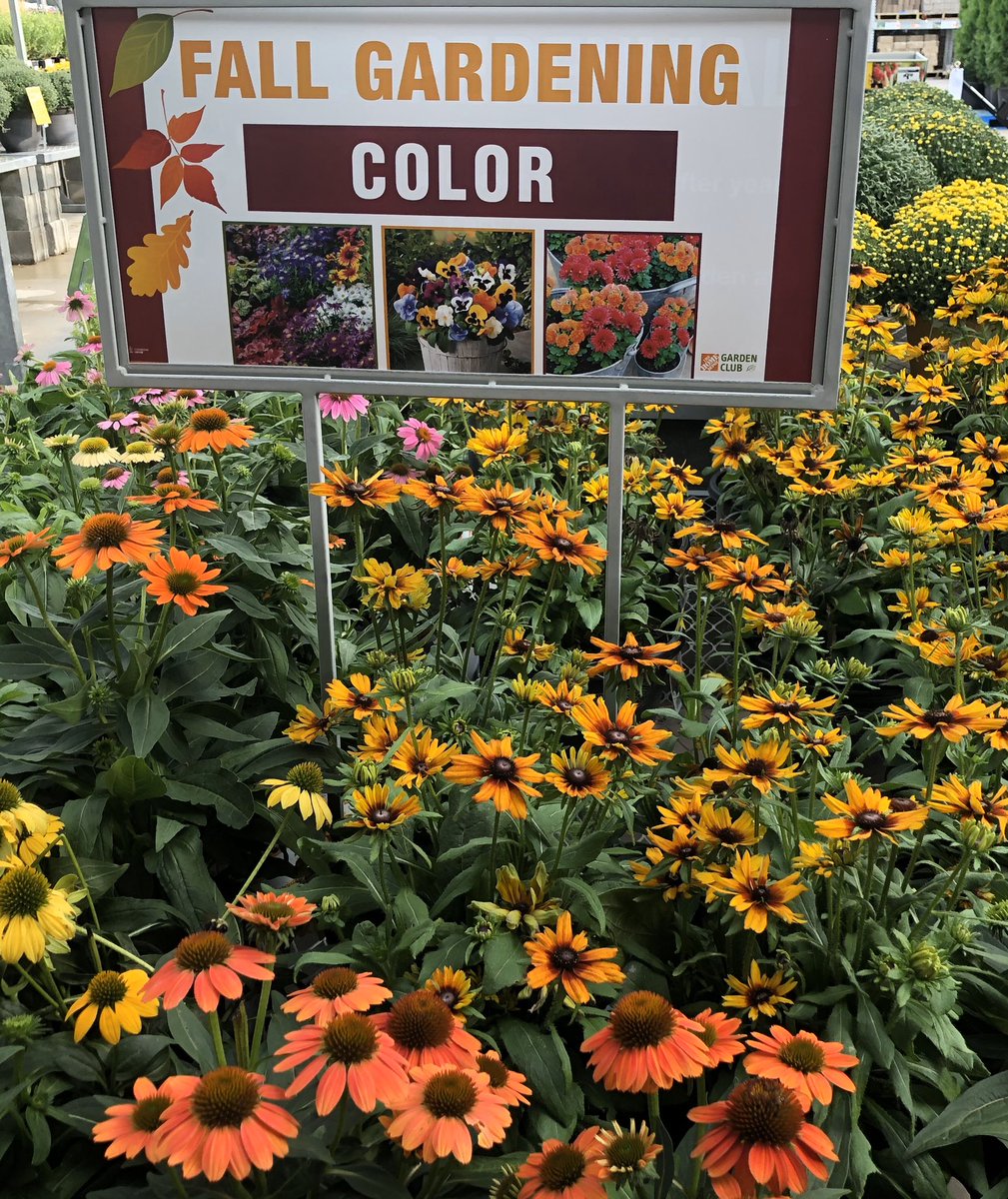 PPSLinda's tweet photo. HD1126 Greer #wegotitgoingon @DyerEric18 @BobbyBoaenTHD @CHilliardTHD @PPSinHD @Stephen_E_Camp @DutileKathleen https://t.co/trY1ArN9eu