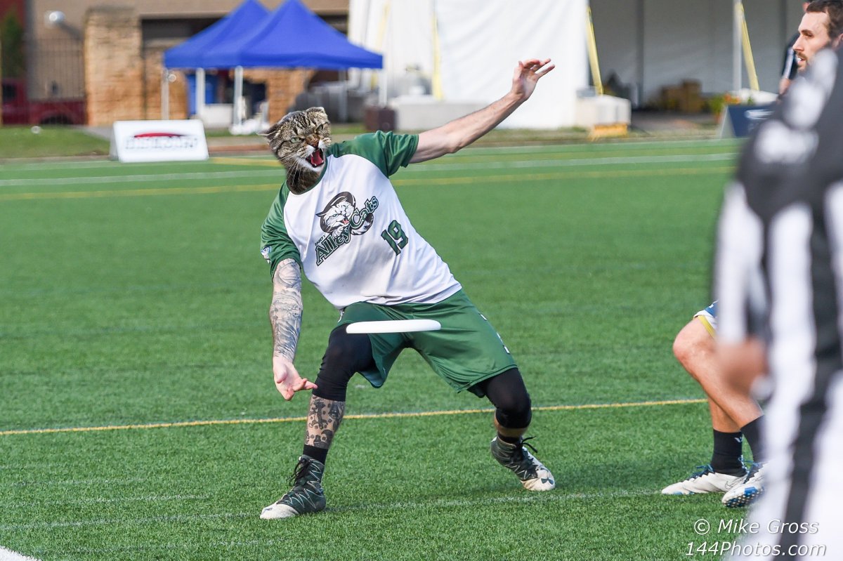 Indy AlleyCats tweet media