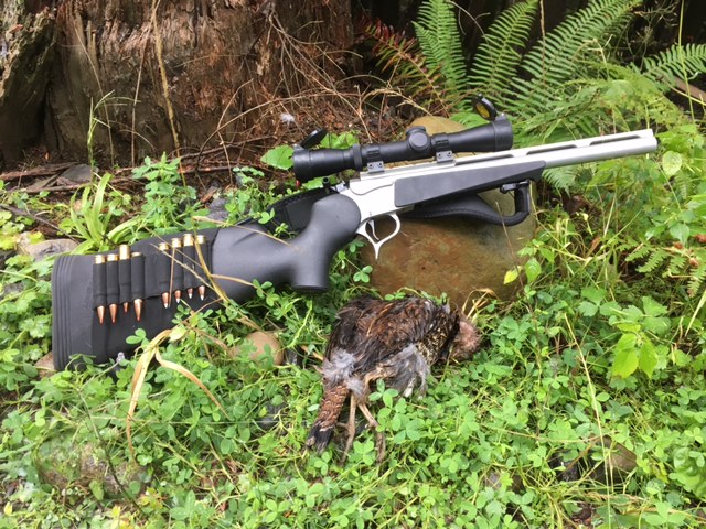 Just a reminder for all choir members to bring their grouse rifles to the next rehearsal in case anyone should ask awkward questions