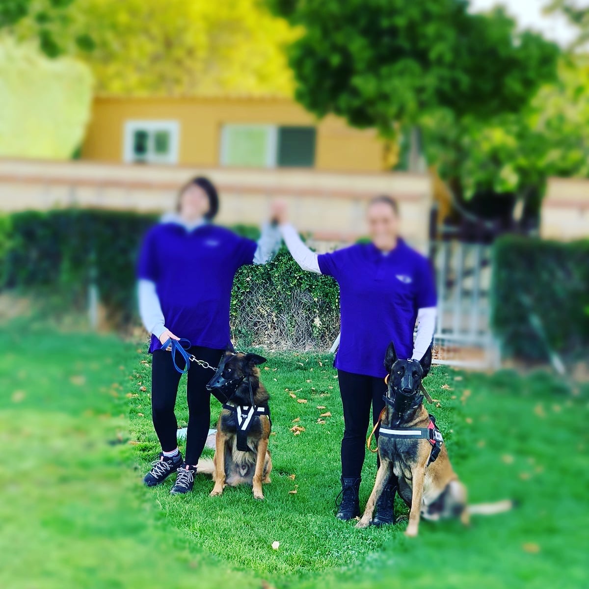 ¿Sabéis todo lo que aporta un Pepi, a su compañera?
#YoTengoaunPepo 
#NiUnaMenos