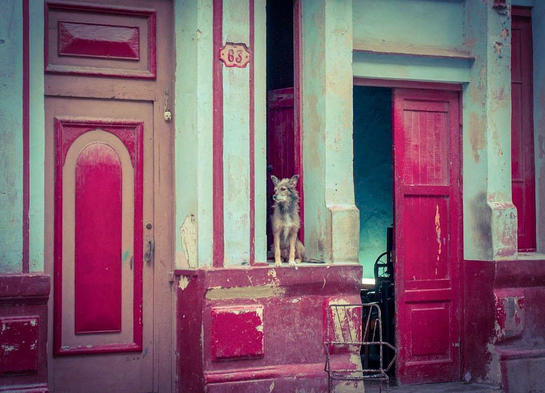 majomina's tweet photo. El barrio está igual que ayer
Voltearon la casa de al lado
La gente está igual que ayer
Con un par de añitos encima
#Del63 #FitoPaez
#RockNacional
#LaHabana https://t.co/shIjC0ymih