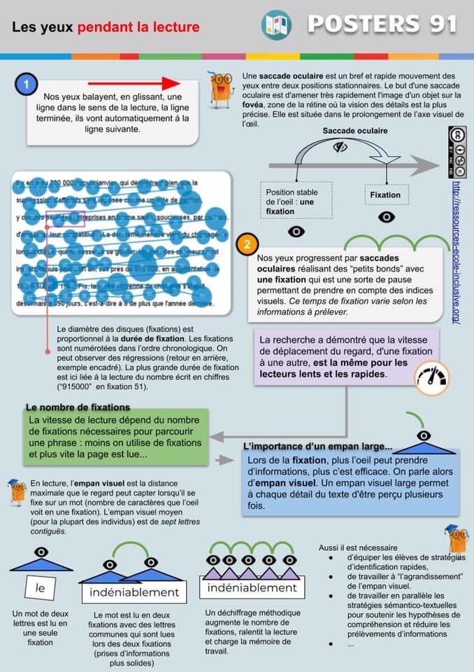 Que font nos yeux pendant la lecture ? Une infographie intéressante... #cognisphere