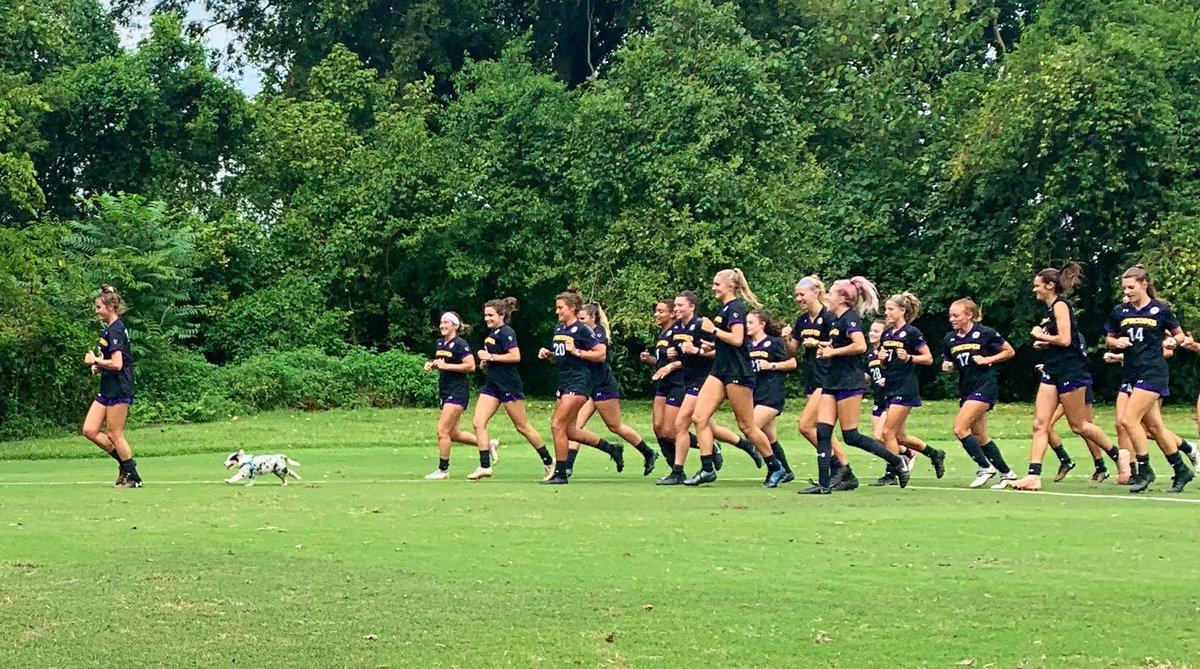 LipscombWSOC's tweet photo. New team member, Winston joined us at training today... he chased his mom and led the pack. 🐶 🥰#puppylove #IGY6 #HornsUp https://t.co/c2IjceKxjx