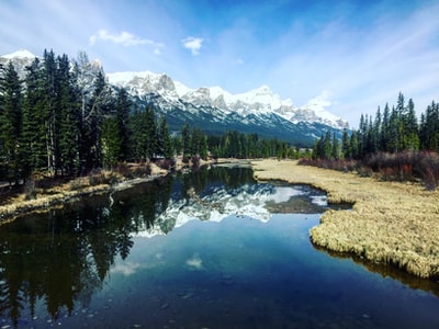 WellbeingWishes's tweet photo. Photo By Calvin Ireland | Unsplash - via @Crowdfire
#mailordercannabiscanada #rawfood #treetrimmingservice #treeremovalservice #treeservice https://t.co/KqL2dbTO4v