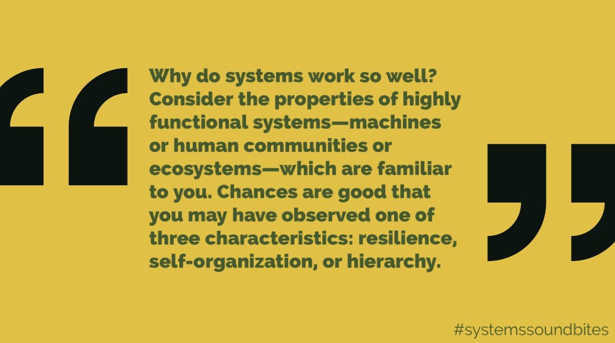 SysSoundbites's tweet photo. Source: Wright, D. and Meadows, D., 2012. Thinking In Systems. Hoboken: Taylor and Francis.

#SystemsThinking https://t.co/WeRGkJsZqU