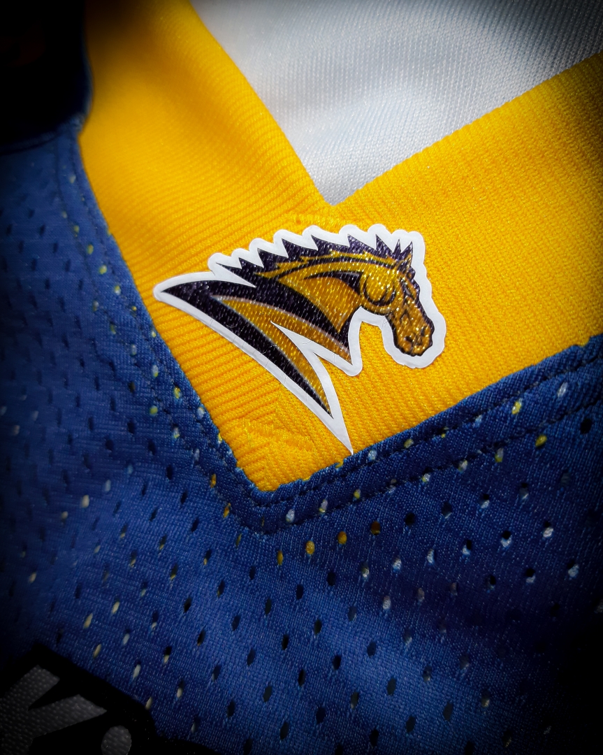 Trago as cores da nossa liberdade.

👀👀

#FABR #avantecavalaria