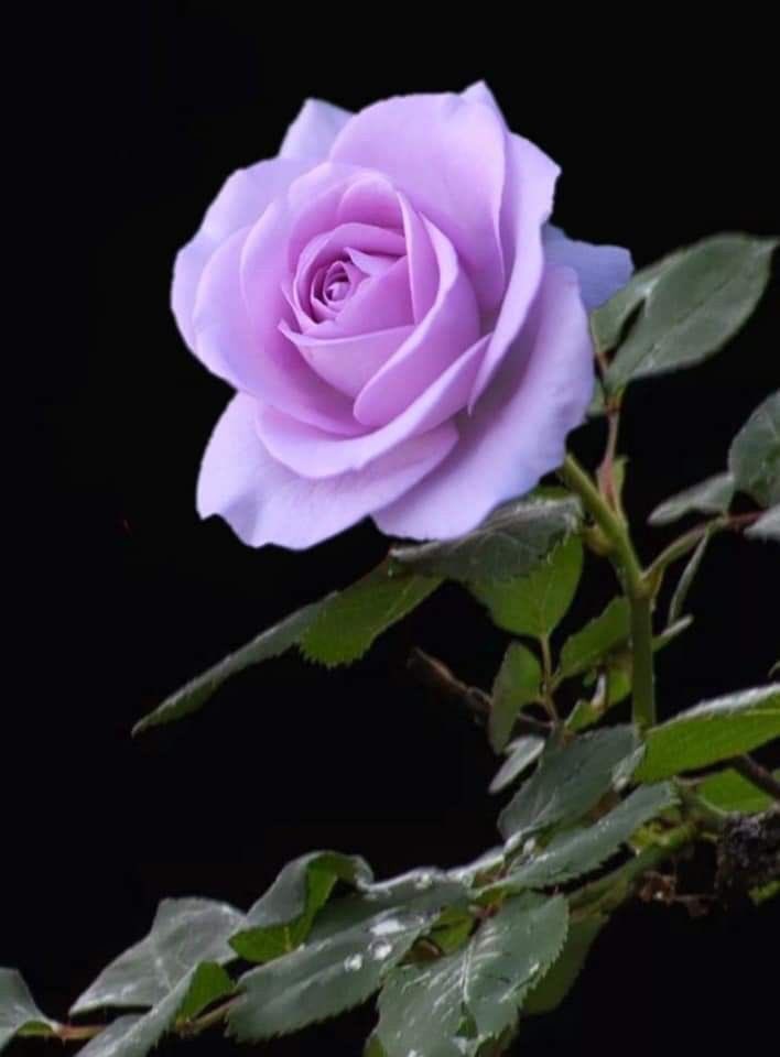 leadintogold's tweet photo. https://t.co/s9UJRbLjSg
.
🙏 THANKS
@SilviaMaidorn
@MMMfutura
RETWEETING “MENODORA” #15Set
https://t.co/Rorp0ZjT6w
.
🌺 https://t.co/T3VfeI9J7p
👗Instagram per te: @carmy_de_rosa
.
🐞 https://t.co/Gq8YvlBXs7
🎧 Bob Sinclar Feat. CeCe Rogers - I Want You
https://t.co/nHMwevw0EF https://t.co/0IQgurIgsr