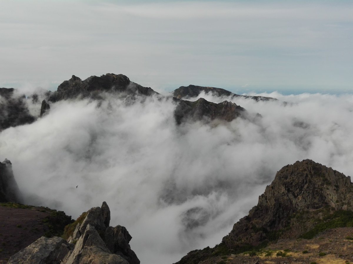 hugogaama's tweet photo. MAGNÍFICO. Eu nunca canso-me desta vista, isto carrega energias. A 1818 metros de altitude. #IlhaDaMadeira #VisitMadeira #PicoDoArieiro #Portugal https://t.co/zKwP3QNCmp