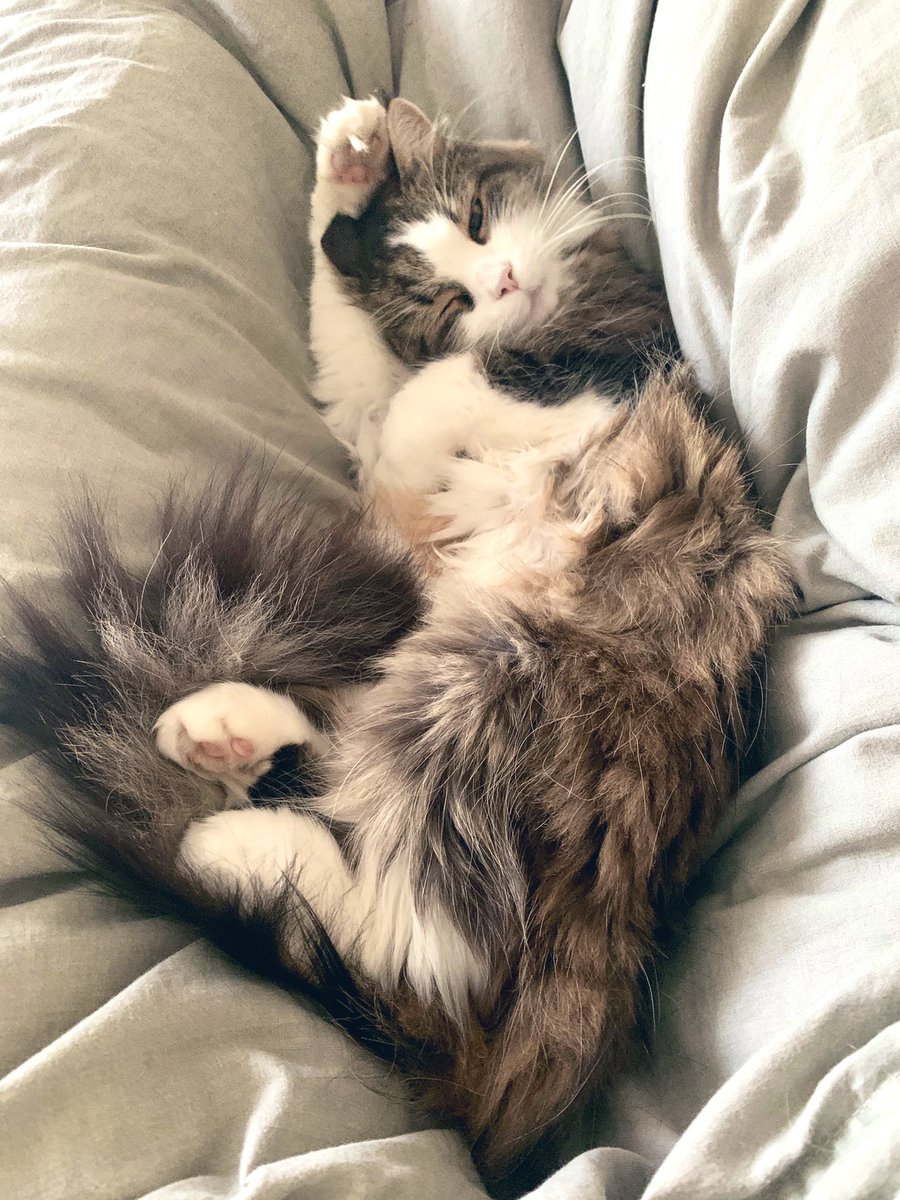duffleslive's tweet photo. Back at her best #duffles https://t.co/iqGE32mXrw