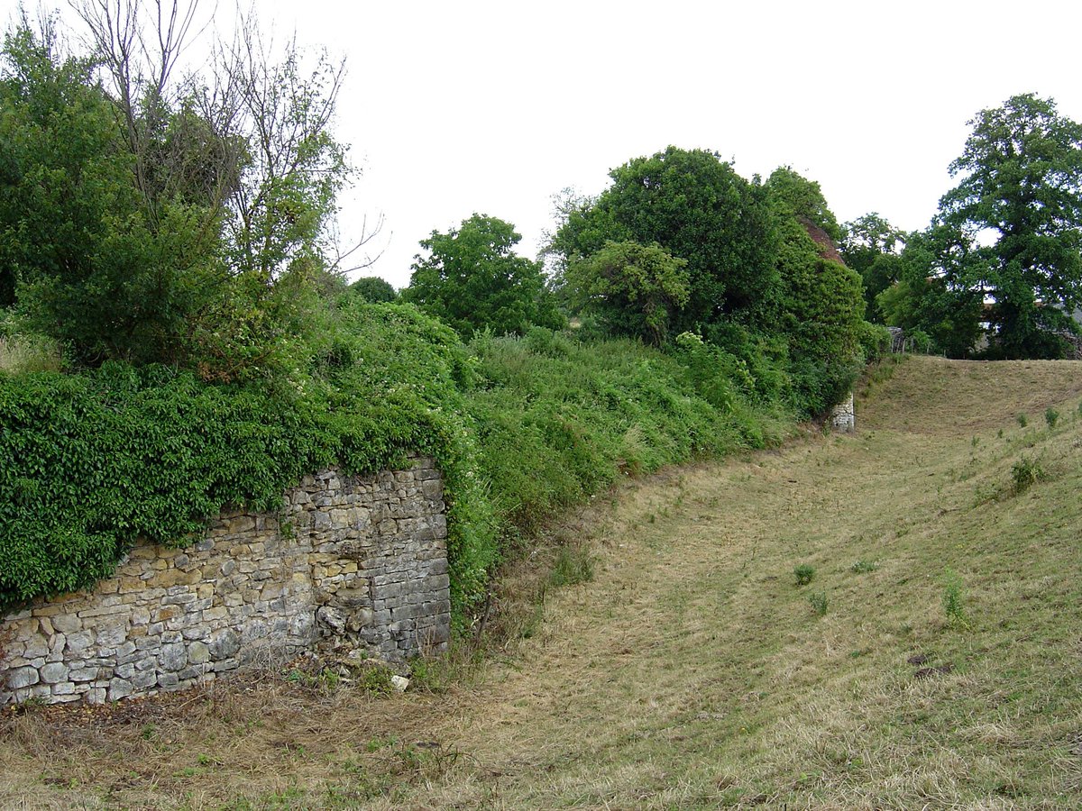 BerryPatrimoine's tweet photo. #Château de Fromenteau (Fougerolles, #Indre), édifié à la fin du #MoyenAge par la famille de Buchepot, détruit dans les années 1940. Le superbe pigeonnier (1400 boulins), quelques murs et fossés, un plan (1794) et d'anciennes vues témoignent de sa qualité. #histoire #patrimoine https://t.co/D5GHyeSm0T