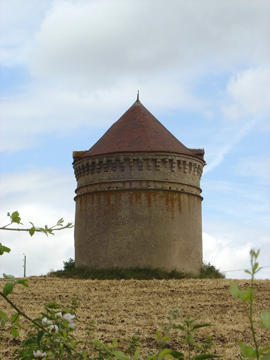 BerryPatrimoine's tweet photo. #Château de Fromenteau (Fougerolles, #Indre), édifié à la fin du #MoyenAge par la famille de Buchepot, détruit dans les années 1940. Le superbe pigeonnier (1400 boulins), quelques murs et fossés, un plan (1794) et d'anciennes vues témoignent de sa qualité. #histoire #patrimoine https://t.co/D5GHyeSm0T