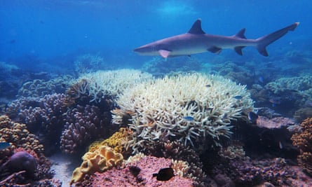 BartuKaleagasi's tweet photo. UN Report: World fails to meet a single target to stop biodiversity loss and the destruction of life-sustaining ecosystems (Aichi Targets 2010) https://t.co/mxE1Vg0dFr #environment #governance #nature #biodiversity https://t.co/osg3nbfn2C