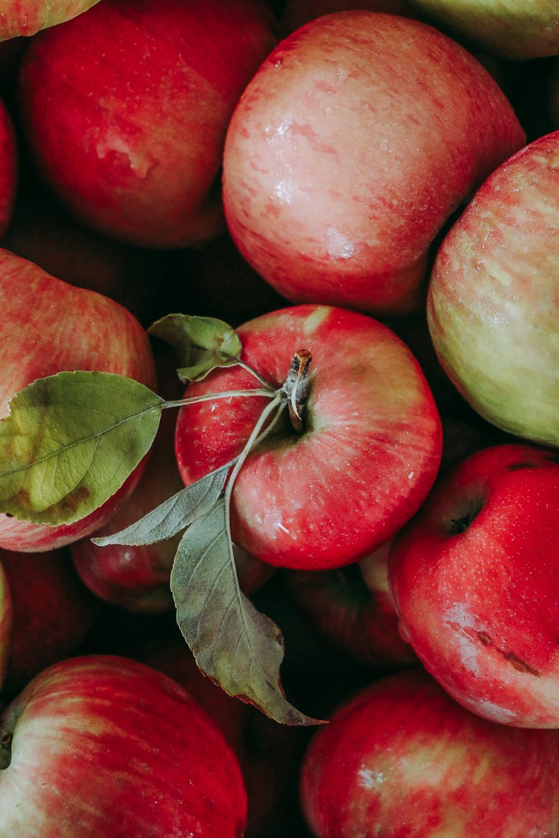 Lepp Farm Market tweet media