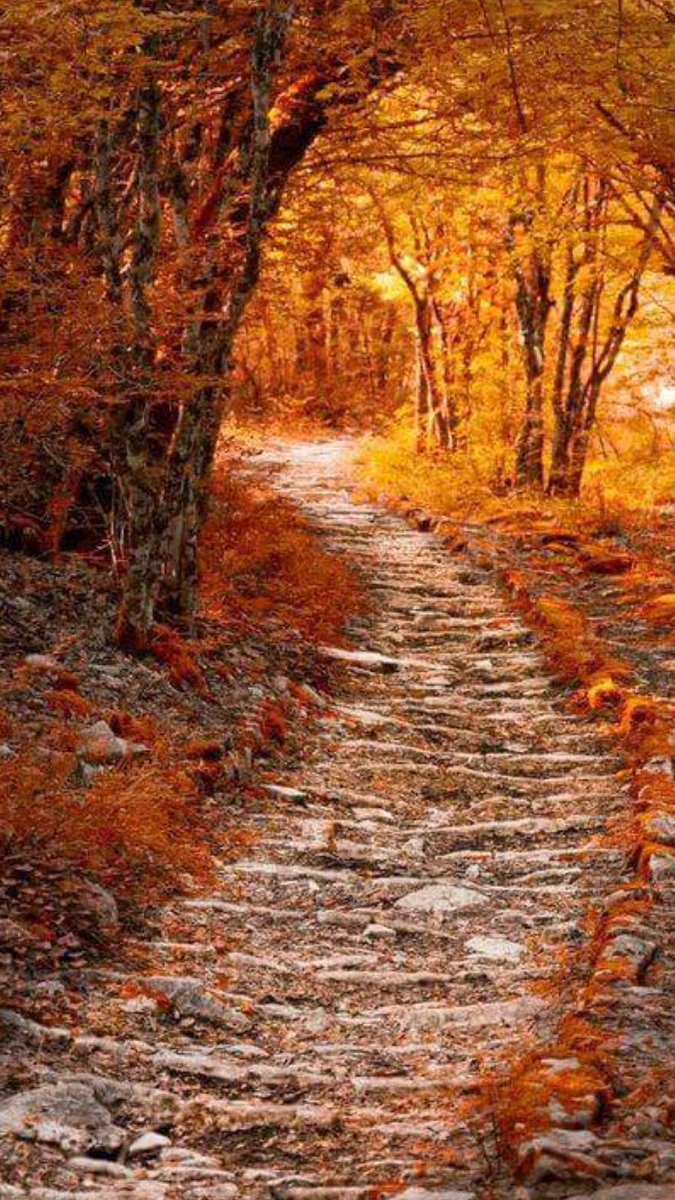 goyotocho64's tweet photo. ........     VAN MORRISON     ........
                Only a Dream  
Si, eso debió ser..solo un Sueño.
https://t.co/LC2GxFy8NT https://t.co/o3wcu04JIq