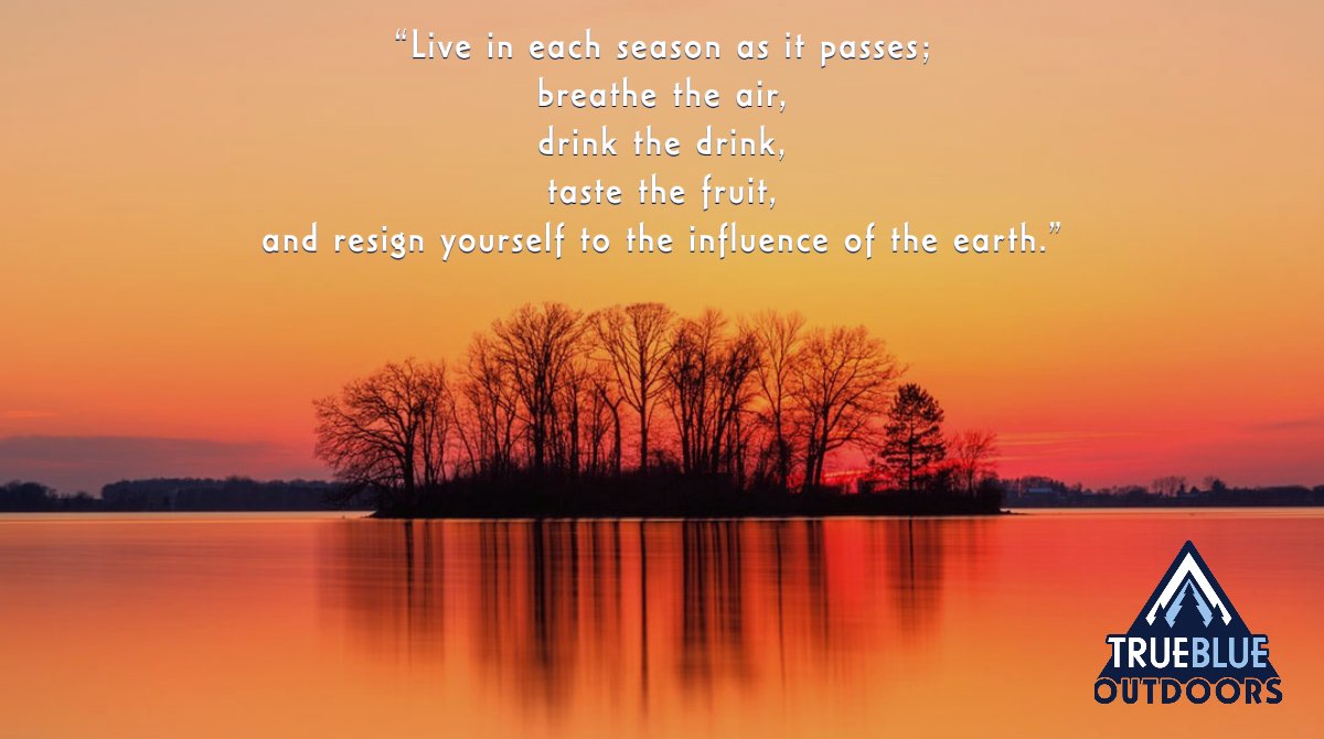 TrueBlueOtd's tweet image. As fall sneaks up on us, a simple reminder to enjoy the changing of the seasons! 

#nature | #fall | #seasons | #outdoors | #sunset