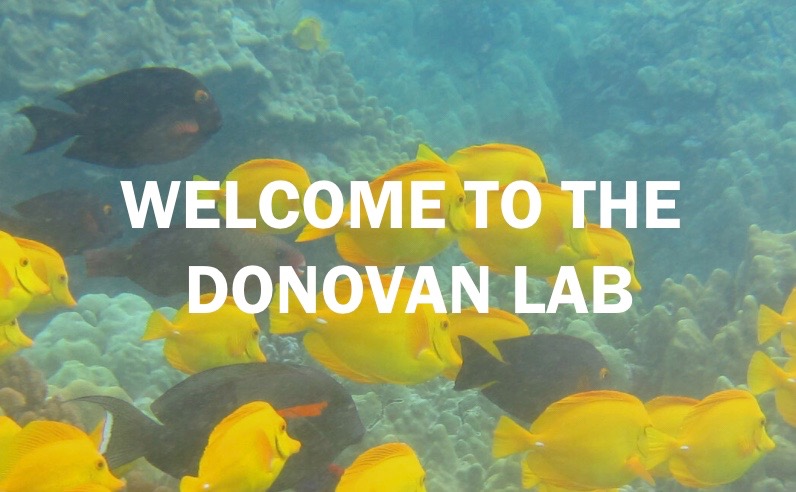 fishymary's tweet photo. I am starting a lab @ASU_GDCS and @ASU_SGSUP in Jan 2021 studying social-ecological systems. Check out our new website https://t.co/0wnQmSaMAk to find out more about our research and joining the team. Recruiting students and postdocs, so please get in touch! https://t.co/Ee84WIVXkZ
