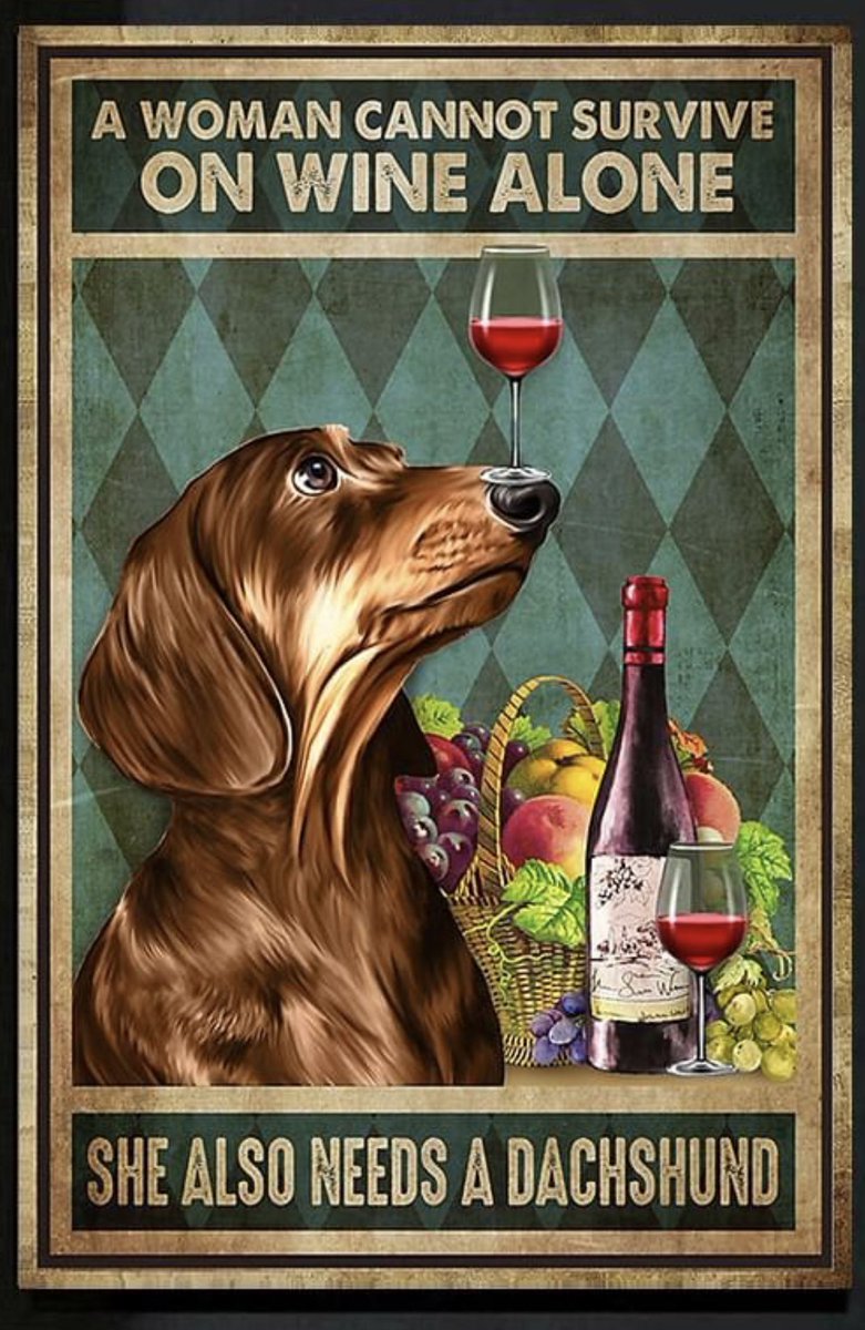 BorisDachshund's tweet photo. https://t.co/T8YJMhAg37