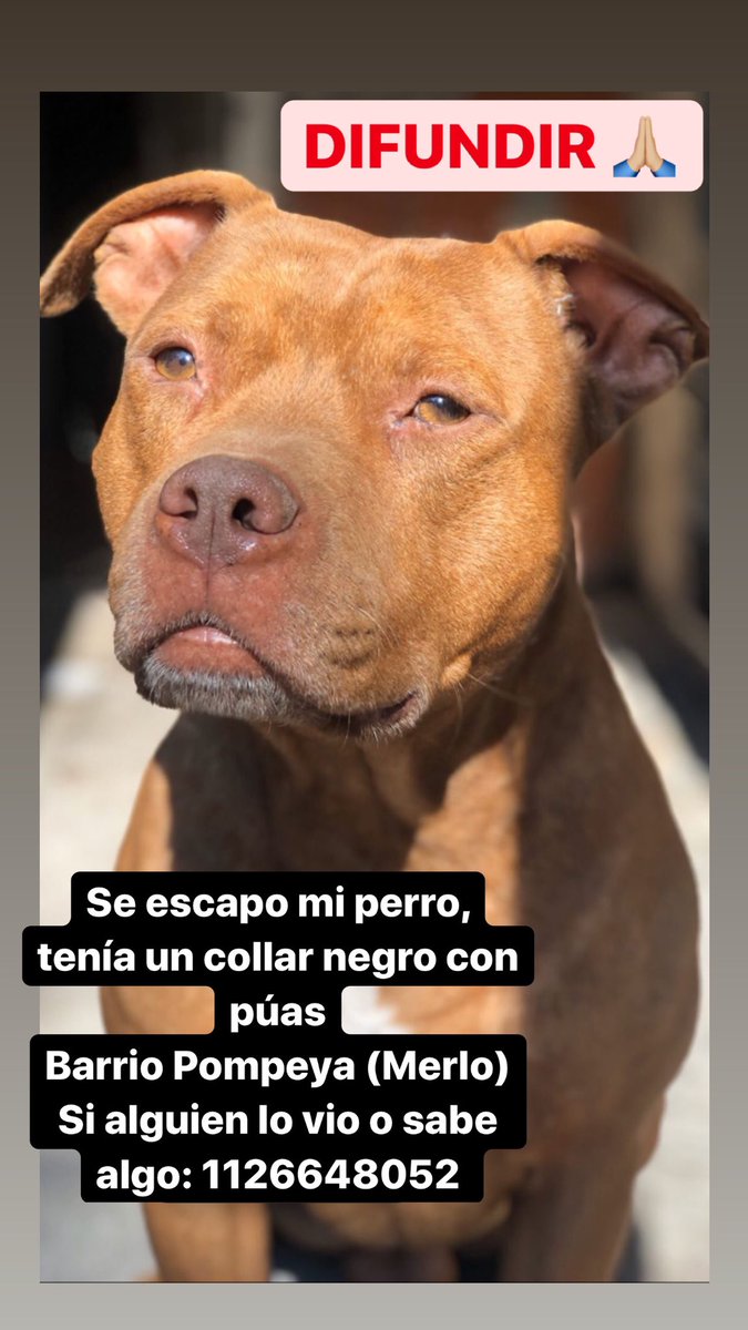 Segovia™ ♎ tweet media